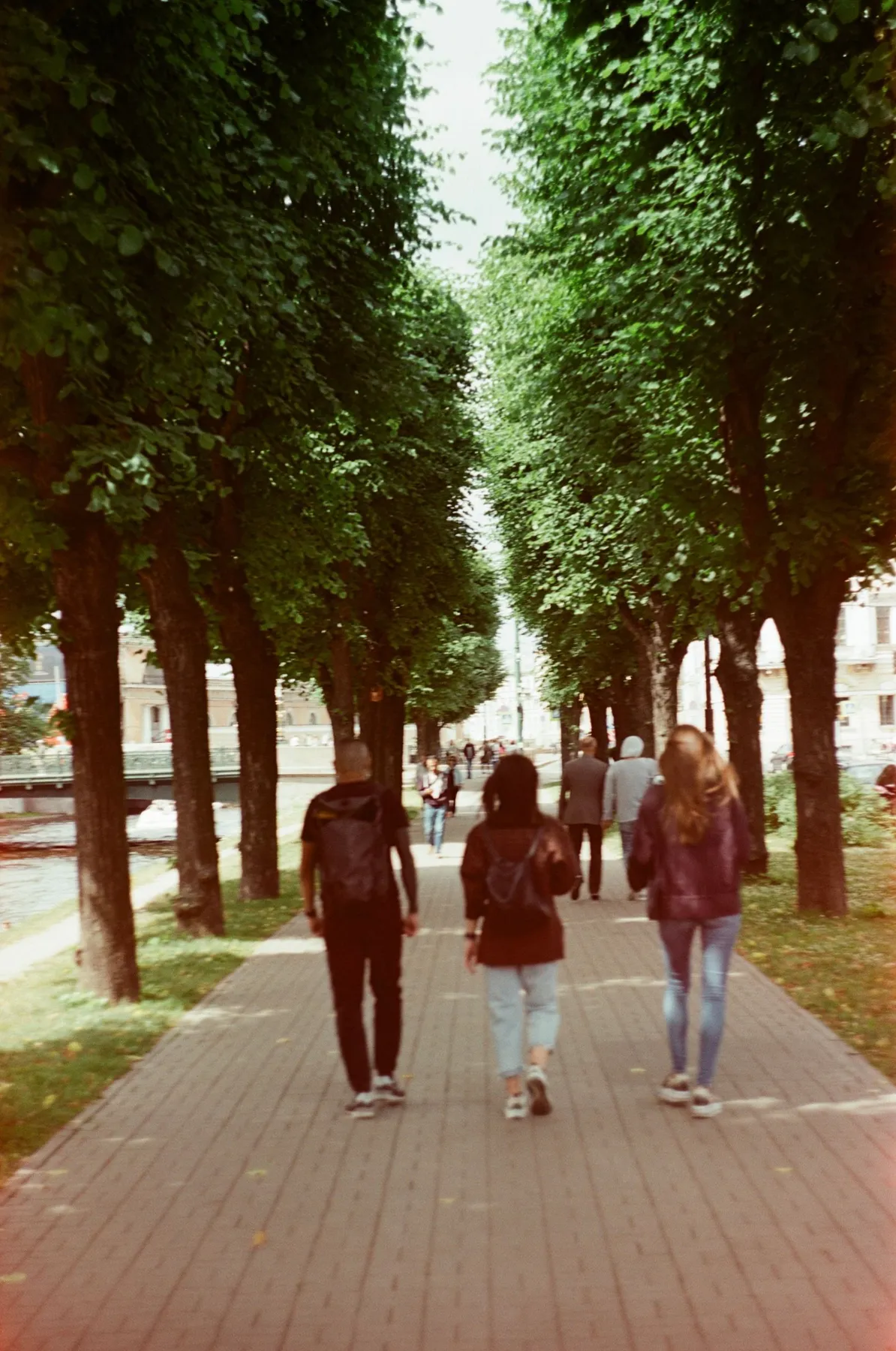 People strolling along a tree-lined public walkway