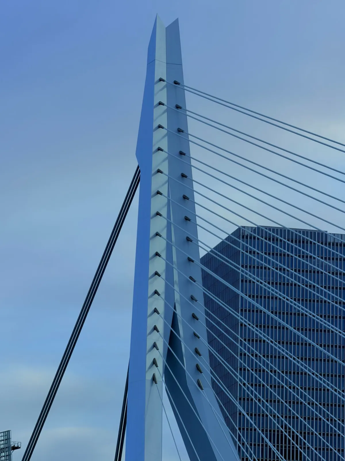Cable-stayed structure of the Erasmus Bridge in Rotterdam